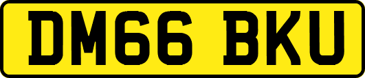 DM66BKU