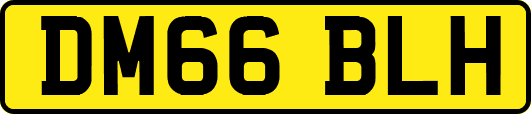DM66BLH