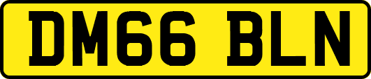 DM66BLN