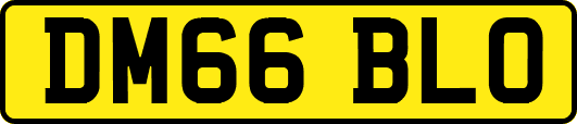 DM66BLO