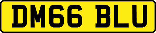 DM66BLU