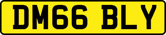 DM66BLY