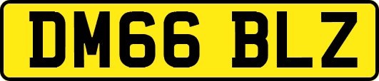 DM66BLZ