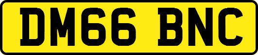 DM66BNC