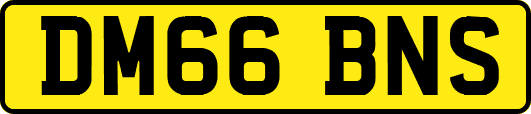 DM66BNS