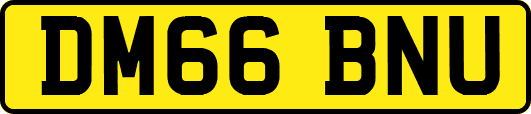 DM66BNU