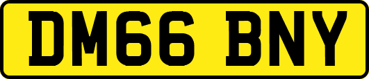 DM66BNY