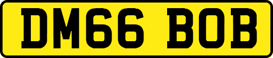 DM66BOB