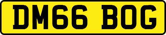 DM66BOG