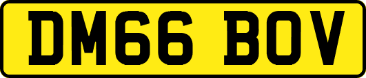DM66BOV