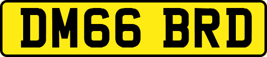 DM66BRD