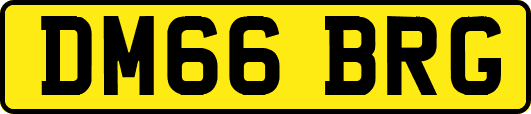 DM66BRG