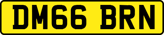 DM66BRN