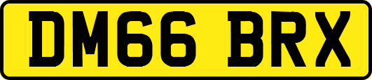 DM66BRX
