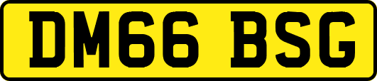 DM66BSG
