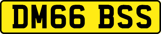 DM66BSS