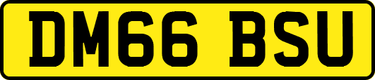 DM66BSU