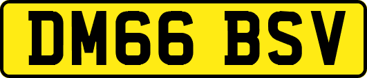 DM66BSV