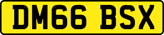 DM66BSX