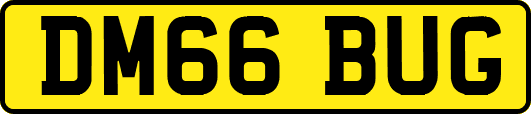 DM66BUG