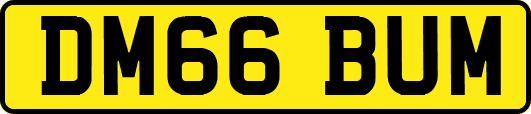 DM66BUM