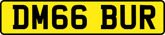 DM66BUR