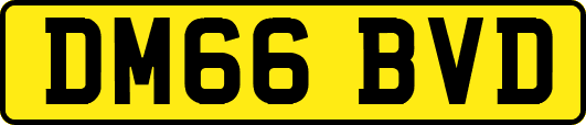 DM66BVD