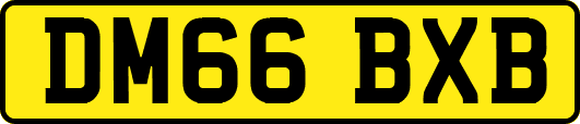 DM66BXB
