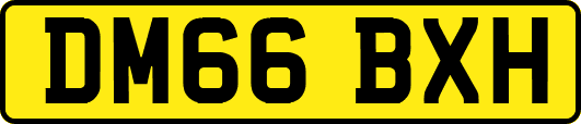 DM66BXH