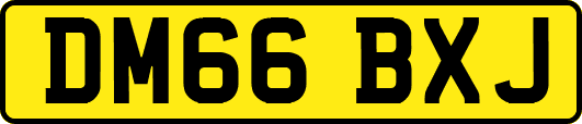 DM66BXJ