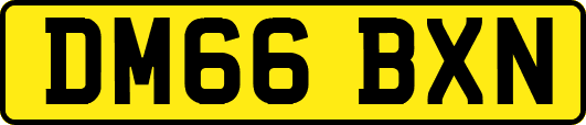 DM66BXN