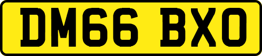 DM66BXO