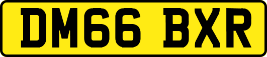 DM66BXR