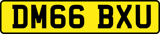 DM66BXU