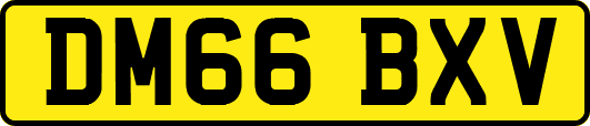 DM66BXV