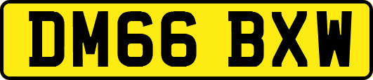 DM66BXW