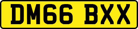 DM66BXX