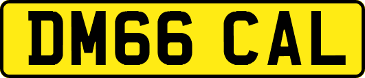 DM66CAL