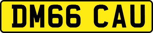 DM66CAU