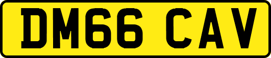 DM66CAV