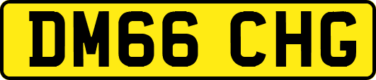 DM66CHG
