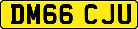 DM66CJU