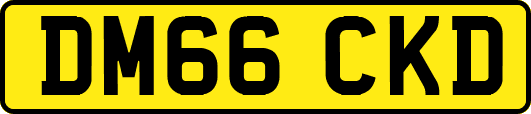 DM66CKD