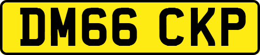 DM66CKP
