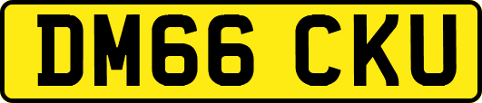 DM66CKU