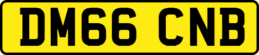 DM66CNB