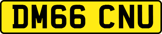 DM66CNU