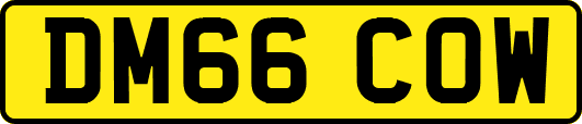 DM66COW