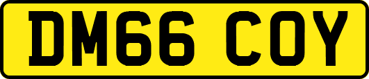 DM66COY