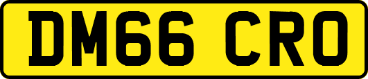 DM66CRO